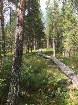Tarkastukset Tila 3 Toteutettu Laji 6 Suojeluarvojen tarkastus Tarkastusvuosi 2016 Tarkastuspvm 12.7.