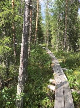 Tarkastukset Tila 3 Toteutettu Laji 6 Suojeluarvojen tarkastus Tarkastusvuosi 2016 Tarkastuspvm 12.7.
