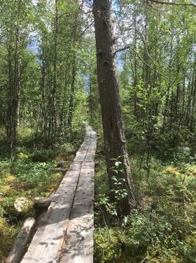 Viranomaisrekisterinro Kunto Olotil a 1 Hyvä 2 Ei käytössä Arvotus 3 Esitys mj-luokka II Kohte en suojel u 9 Muu