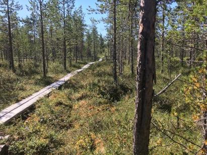 Viranomaisrekisterinro Kunto Olotil a 1 Hyvä 2 Ei käytössä Arvotus 3 Esitys mj-luokka II Kohte en suojel u 9 Muu