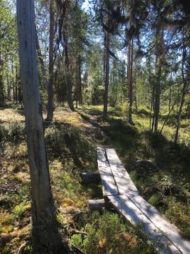 Tarkastukset Tila 3 Toteutettu Laji 6 Suojeluarvojen tarkastus Tarkastusvuosi 2016 Tarkastuspvm 21.7.