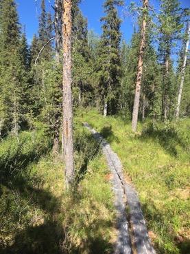 Tarkastukset Tila 3 Toteutettu Laji 6 Suojeluarvojen tarkastus Tarkastusvuosi 2016 Tarkastuspvm 21.7.