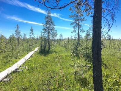 Tarkastukset Tila 3 Toteutettu Laji 6 Suojeluarvojen tarkastus Tarkastusvuosi 2016 Tarkastuspvm 21.7.