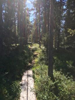 Tarkastukset Tila 3 Toteutettu Laji 6 Suojeluarvojen tarkastus Tarkastusvuosi 2016 Tarkastuspvm 21.7.