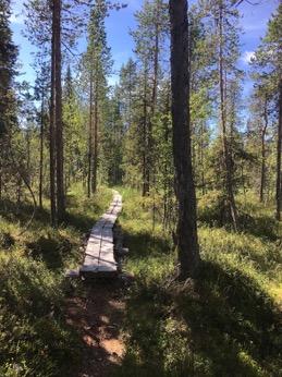 Tarkastukset Tila 3 Toteutettu Laji 6 Suojeluarvojen tarkastus Tarkastusvuosi 2016 Tarkastuspvm 21.7.
