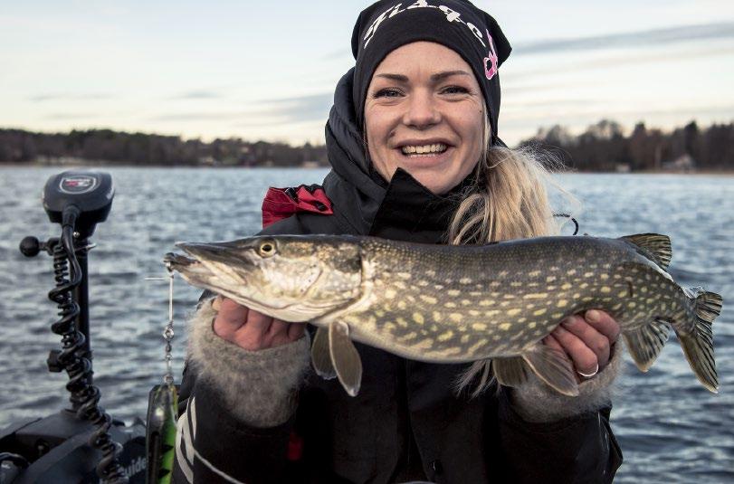 Komea hauki. Juu- leet merellä joulukuussa.