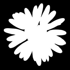 11.2010 hyväksymä