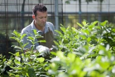 professional s van NL Greenl abel DeNL Professional Dat is een echte professional met een groen hart. Levende tuinen gemaakt met duurzame materialen, dat is het motto!