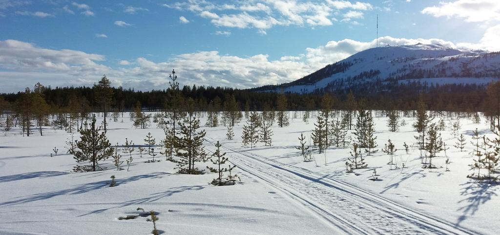 Kuvapari 7.1 & 7.2. Vitsa-aavan suoalueen pohjoisosasta katsottuna uudet rakennukset jäävät tunturin taakse. 5.4.