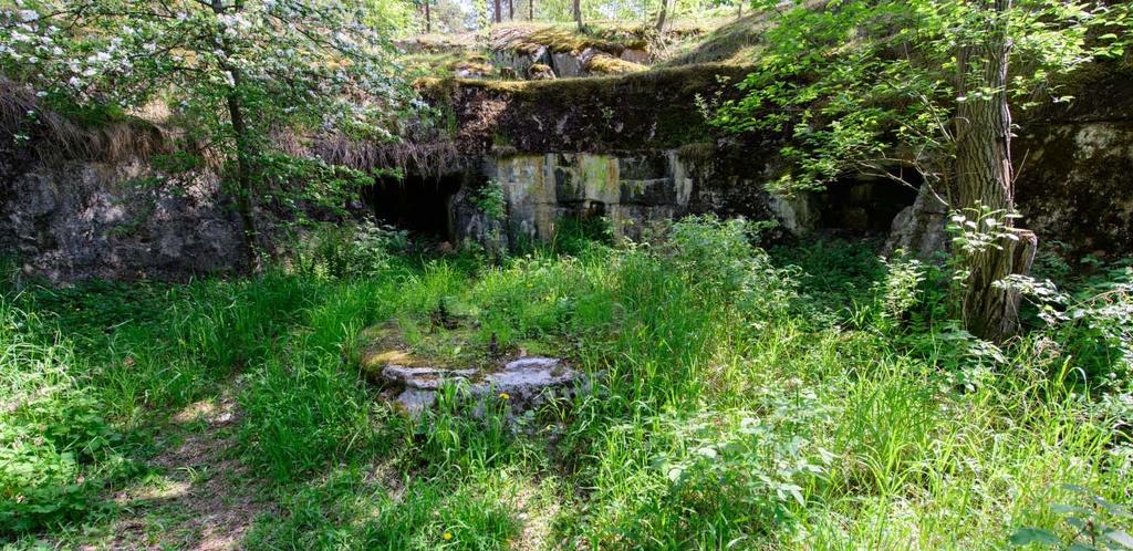 14 Tykkiasema ja betoninen tykinperusta patterissa nro 65. Kuva: Museovirasto, Vesa Laulumaa 2014.