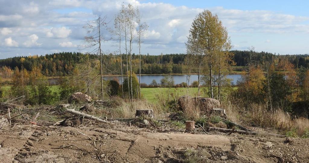 Enäjärventien länsipuolella, Soidinsuon kohdalla, on varttuneita kasvatusmetsiä mustikkatyypin kankaalla. Puusto vaihtelee mänty- ja kuusivaltaisena.