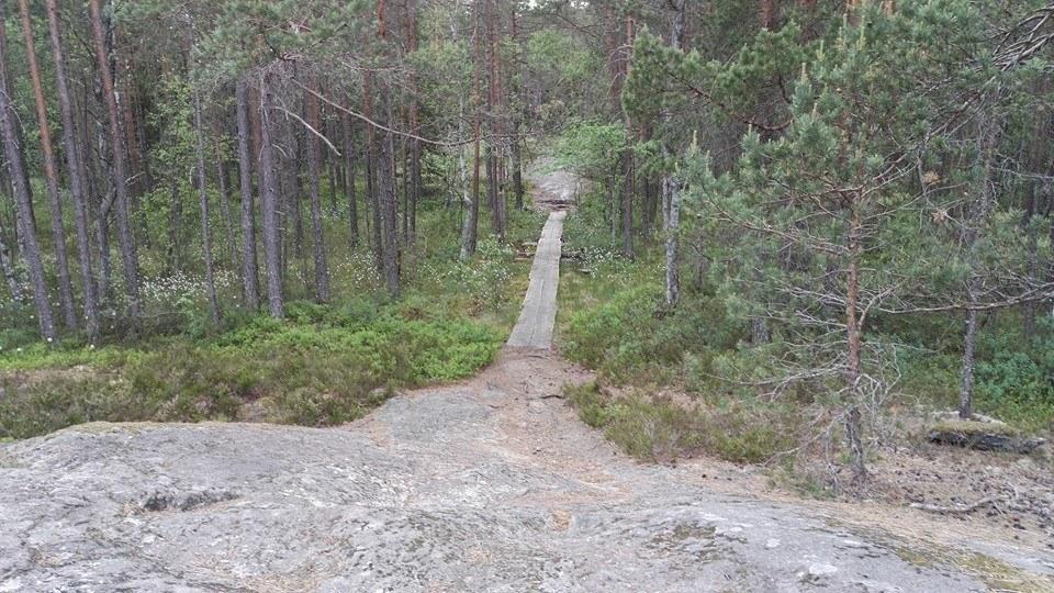 MAARIA TRAIL-POLKUJUOKSU kirmataan Myllyojan sillan nurkalta lähtien Maarian altaan itäpuoleisissa maastoissa lauantaina 19.8.2017. Sarjat ja matkat: Yleisissä sarjoissa (M ja N) 10,5 km ja 21 km.