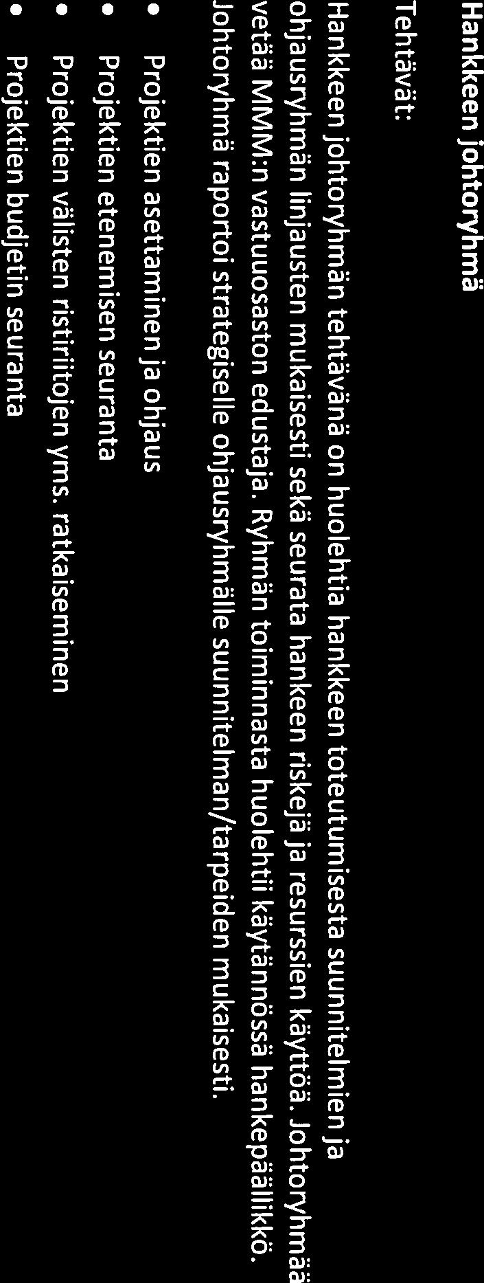 Johtoryhmä raportoi strategiselle ohjausryhmälle suunnitelman/tarpeiden mukaisesti. Projektien asettaminen ja ohjaus Projektien etenemisen seuranta Projektien välisten ristiriitojen yms.