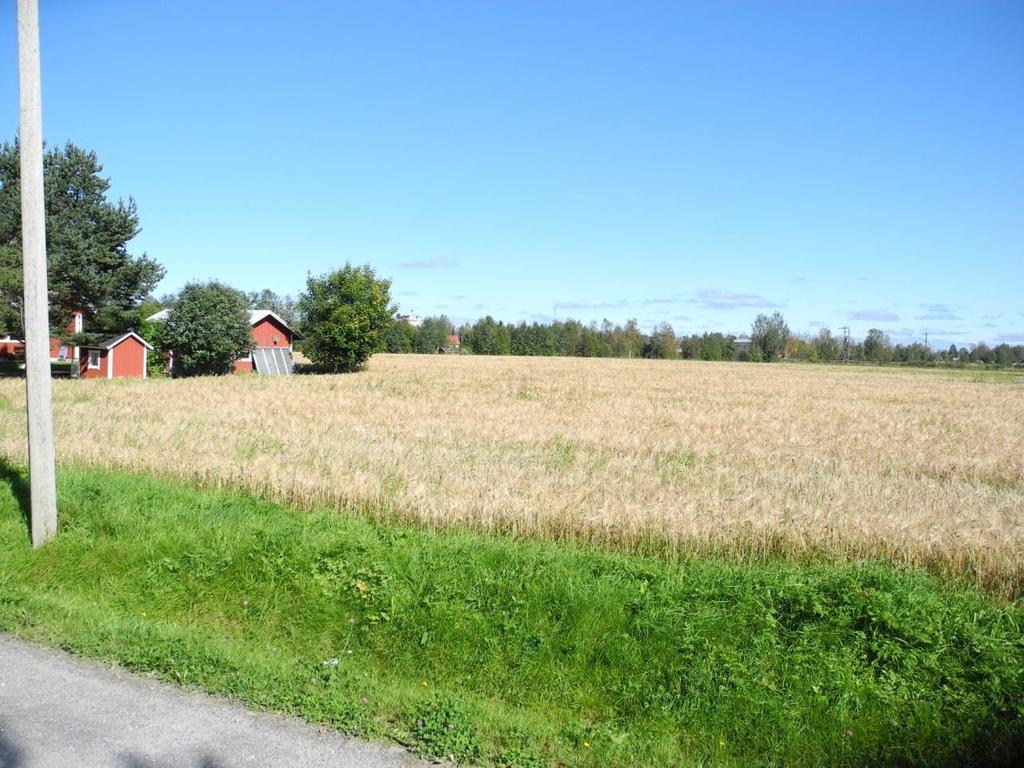 2.3 Rantayleiskaavan toteuttaminen Kun kunnanvaltuusto on hyväksynyt rantayleiskaavan, sen toteuttaminen on maanomistajien vastuulla. 2.