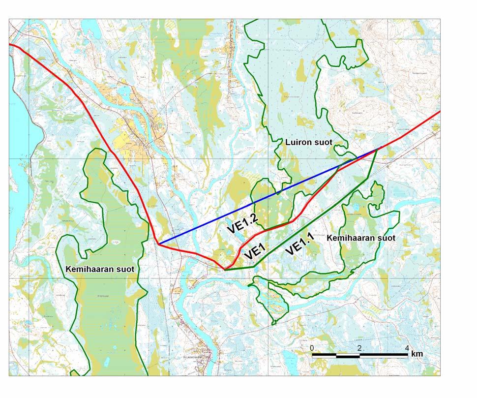 35 Luiron soiden Natura 2000-alueella esiintyviä, luontodirektiivin liitteessä II mainittuja lajeja ovat saukko, lettosiemenkotilo, lapinleinikki, isonuijasammal, lapinsirppisammal,
