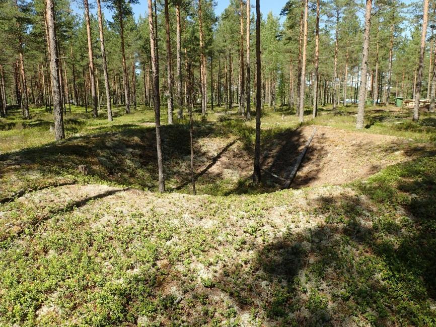 1 Raasepori Skogbyn