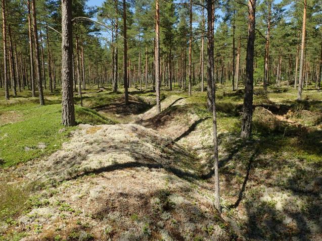 30 m 12 taisteluhauta N 6648987 E 292922 Sortunut  32