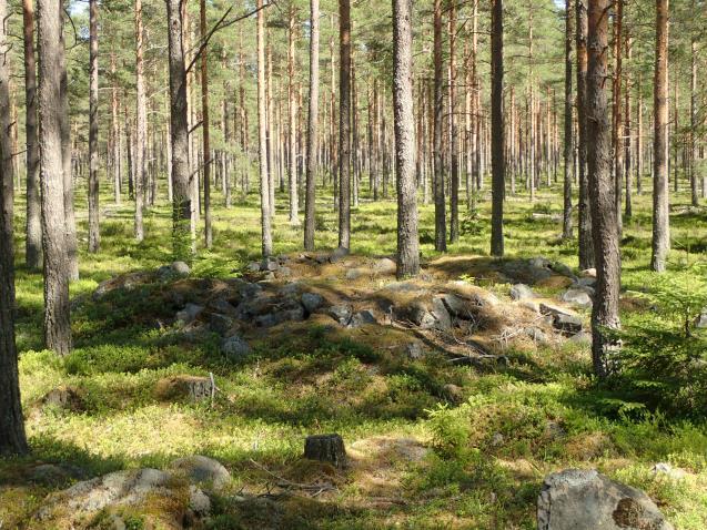 kivivuorausta (ellei kyse