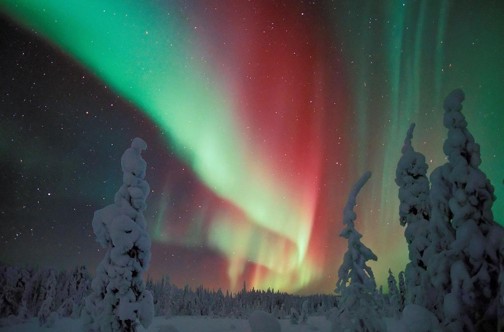 LUONNONVALO/-ILMIÖT REVONTULET Uskomuksen mukaan revontulet syntyvät ketun huiskiessa tunturien lumikinoksia hännällään.