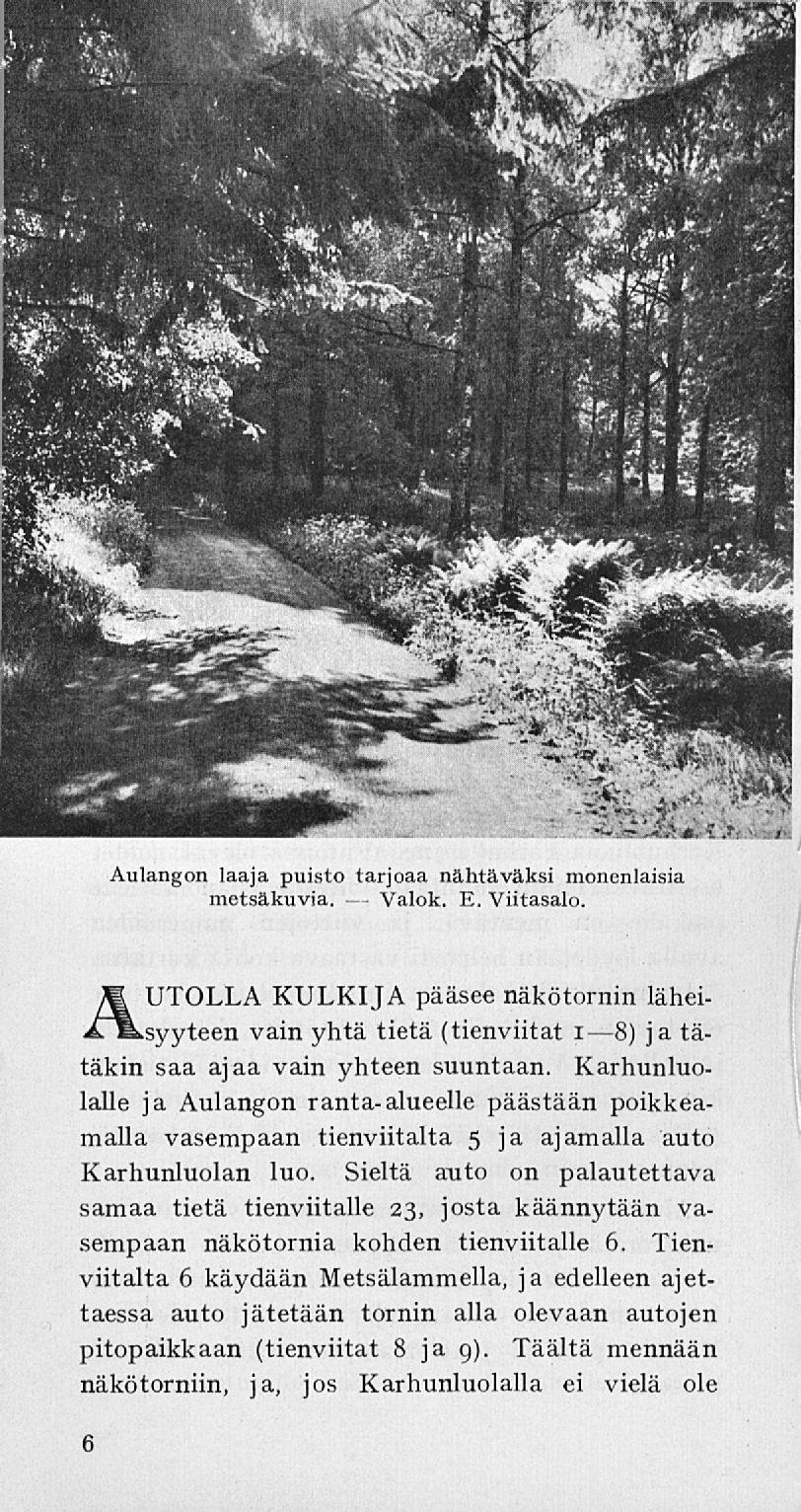 Valok. Aulangon laaja puisto tarjoaa nähtäväksi monenlaisia metsäkuvia. E. Viitasalo.