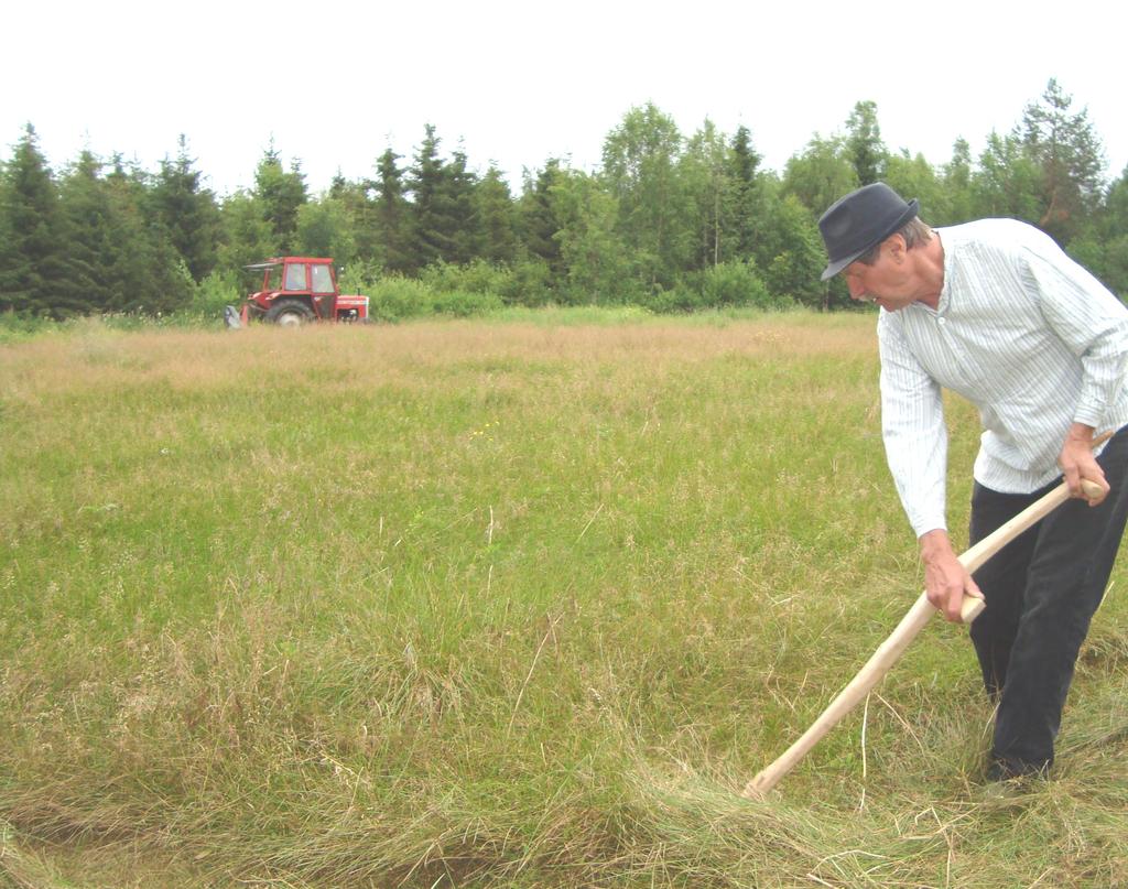 Heinän