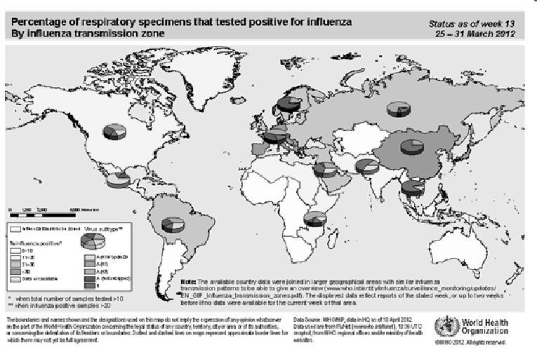 Influenssa A: H1N1v + adjuvantti AS03 Influenssalääkkeet Influenssatilanne 2012 Adamantaanit (M2 inhibiittorit)