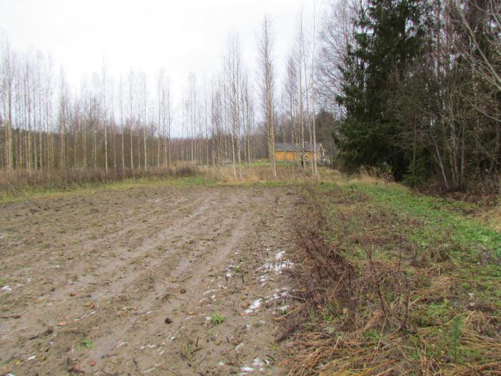 Pälkäneveden etelärannan paineviemärilinjojen suunnittelualueiden arkeologinen inventointi 8 Kuva 8.