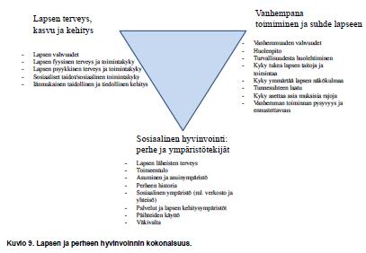 Lähde:Erityis- ja vaativan tason palvelujen työpajaprosessin raportit.