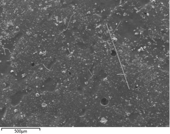 LIITE 2 Kuva 1. Pyyhkäisyelektronimikroskooppikuva näytteen 1PÖ pölystä. Pöly koostuu pääasiassa mineraali-/kiviainespölystä sekä metallipölystä.