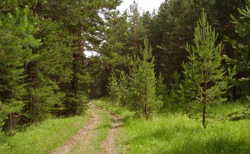 »»joudoaigu Kilbu jatkuu syvyskuussah»»v natutre-kilbu Jelena Migunova Juohatammo, ku Kanzallizen muzein Perindölline talovus -projektan V nature! -foto da videoreportuažoin kilbu jatkuu syvyskuussah.