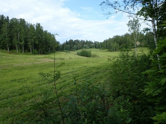 On oletettavaa että alueelta tehdyt löydöt ovat peräisin aikoinaan peltolohkoihin levitetystä tunkiomateriaalista, joka lienee tuotu kylätonteilta.