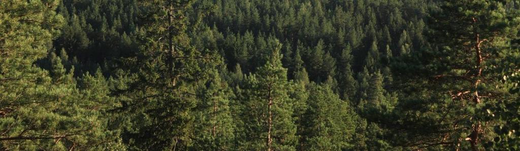 Näsiselkään johdetaan vielä Tampereen kaupungin Kämmenniemen taajaman puhdistetut jätevedet.