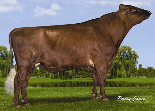 DE LA PLAINE PRIME 0200AY00716 REALITY x MODEM GLPI +2385 VG-85-4YR-CAN TF Rek #: AYCANM106061020 aaa: 342156 DMS: 234 Kappakaseiini: AE Beettakaseiini: A1A2