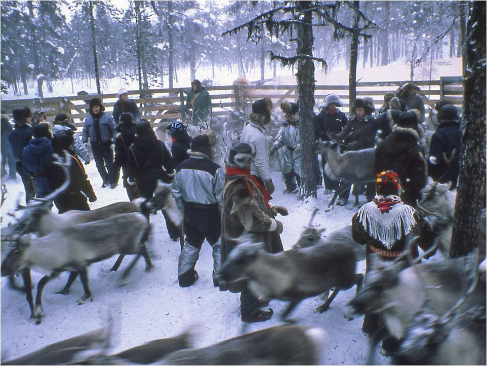 Toimintamalli Akwé: Kon- ohjeiden soveltamisesta Metsähallituksessa Toimintamallia on käsitelty Saamelaiskäräjien ja Metsähallituksen välisissä