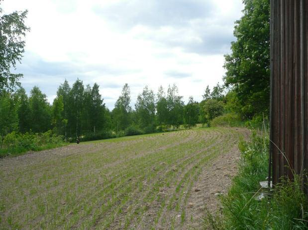 12 VIRRAT 48 MÄKI-HÄRKÖNEN Ajoitus: kivikautinen Laji: asuinpaikka Kartta: x: 6903 92 y: 2484 30 z: 107 ±1 m p: 6908 26 i: 3328 39 Poutiainen & Rostedt 2009 inventointi Löydöt: KM 38025,