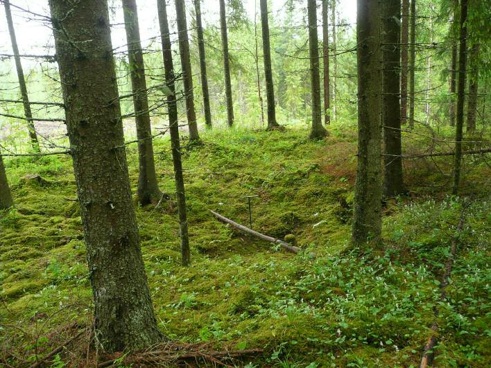 18 Kartta: x: 6909 20 y: 2487 76 z: 107 p: 6913 38 i: 3332 09 Poutiainen & Rostedt 2009 inventointi Paikka sijaitsee Virtain kirkosta 5,63 km pohjoiseen. Tervahauta tai hiilimiilu?
