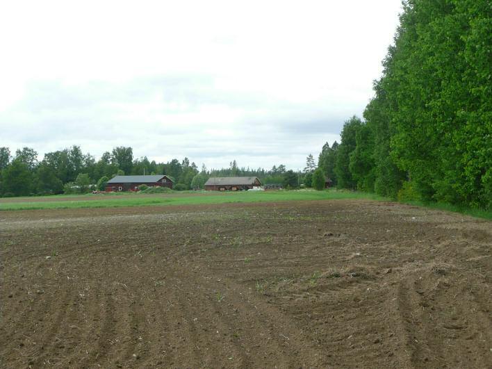 Näiden väliltä ei pellosta löytynyt merkkejä asuinpaikasta, mutta ei ole mahdotonta että