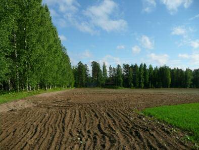 Löydöt: KM 38027, kvartsi-iskoksia, diar 16.11.