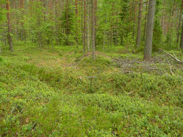inventointi Paikka sijaitsee Virtain kirkosta 1,79 km pohjoiseen. Pyöreähkö kuopanne. Koko 3x3x0.5 m. Kairauksessa selvä kerros nokea ja hiiltä. Alkava huuhtoutumiskerros.