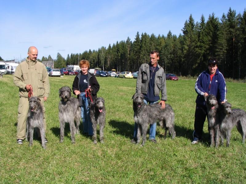 Savo reissinki ja kennelpiirin mestaruusk. 3-4.09.05 Mikkeli, Kalvitsa järj MiViKs Kilpailupäivinä sää oli aurinkoinen ja lämmin. Juostava alue oli niitetty, tilava heinäpelto.