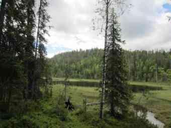 Poksamojärven itäpään pohjoispuolella sijaitsee valtakunnallisesti arvokas moreenimuodostuma Lohilamminahon drumliini (MOR-13-128), jonka arvo on luokkaa 4 ja pinta-ala 0,30 km 2.