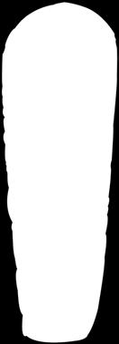 cm Paino 800 g