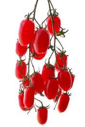 VALIKOIMA HEDELMÄT JA VIHANNEKSET 2017 2018 Tomaatti Fantastica 400 g 249847 Tomaatti Flavorino 300 g 132845 Tomaatti gourmetmix 3,5 kg 132225 Tomaatti Kumato 69260 Tomaatti luomu 1 kg 130062
