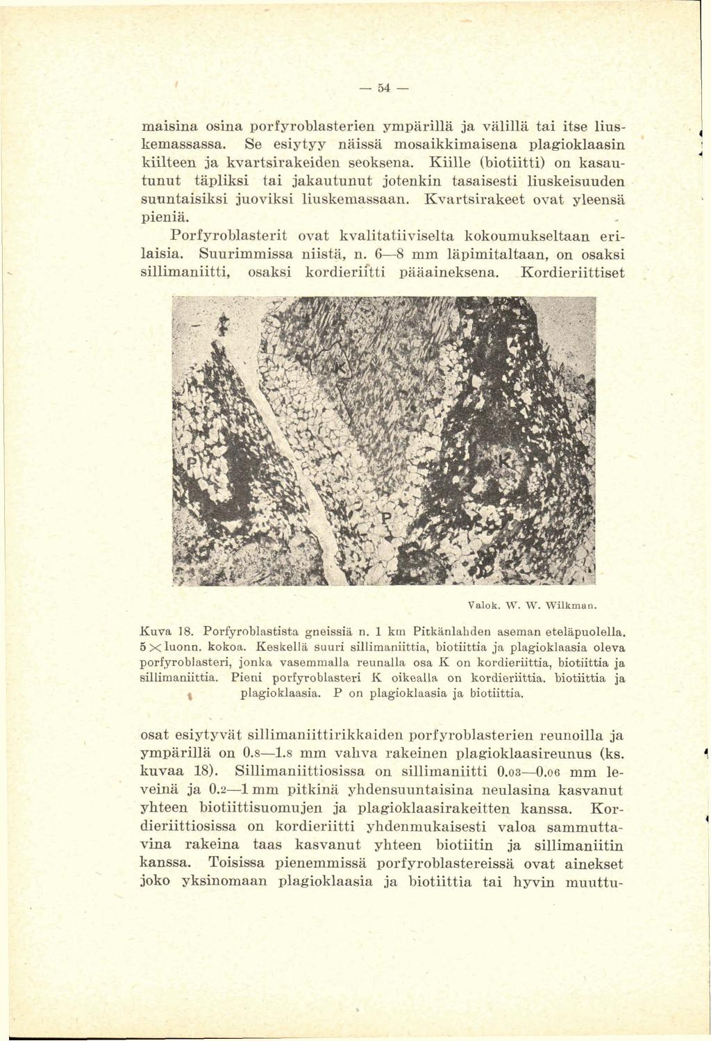 maka osina porfyroblasterisn ympärillä ja välillä tai itse liuskemassasrss. Se esiyty y ntiissä mosaikkimaisena plagioklaarsin * kiilteen ja kvartsirakeiden seoksena.