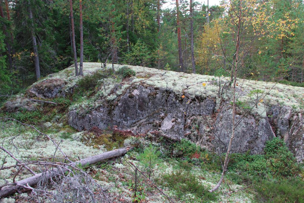 Vesilain (Vesilaki 587/2011) tarkoittamia suojeltavia pienvesiä ei alueella ole. Alueella ei ole perinnemaisemakohteita eikä perinnebiotooppeja.