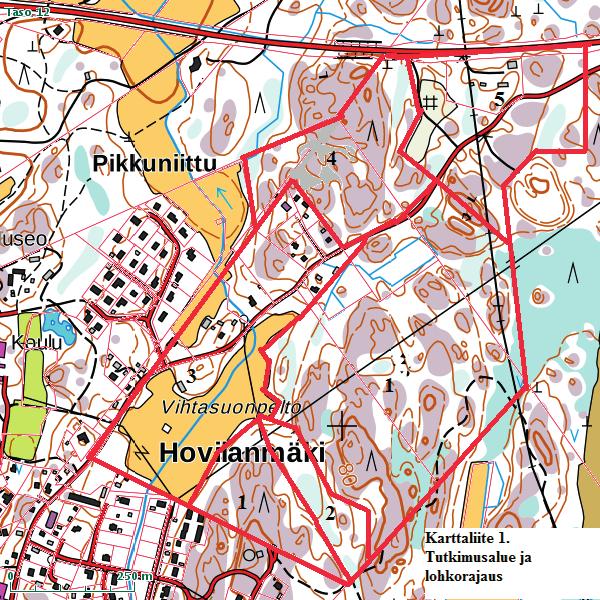 Suomen Luontotieto Oy YLÄNEEN TAAJAMAN KOILLISOSAN ASEMAKAAVA-ALUEEN