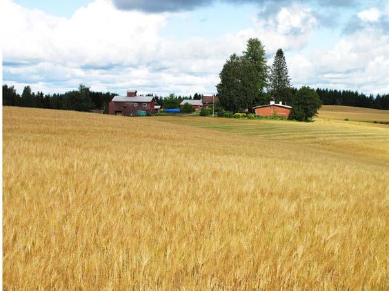 Valtakunnallisesti arvokkaat maisema-alueet Maisema-alue -kuuleminen Aineisto on kunnissa ja ELY-keskusten ilmoitustauluilla nähtävillä 18.1.-19.2.2016 YM lähettää lausuntopyynnöt sidosryhmille 15.1.2016 Lausunnot 15.