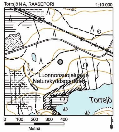 7.2.3 Torrsjön pohjoispuoli A, Raasepori (ent. Pohja) Yhtenäiskoordinaatit: 6672540:3302740 Nummimatara löytyi Torrsjön pohjoispuolella kasvaneesta mustikkatyypin kangasmetsästä vuonna 1996 (E.