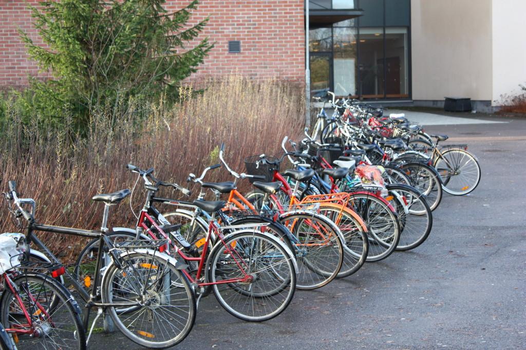 ja kaikkialla Lukion piha täyttyy polkupyöristä päivittäin. Kuva: Hanna Kuusisto. Moni Järvenpään lukion opiskelija kulkee koulumatkansa polkupyörän satulassa.