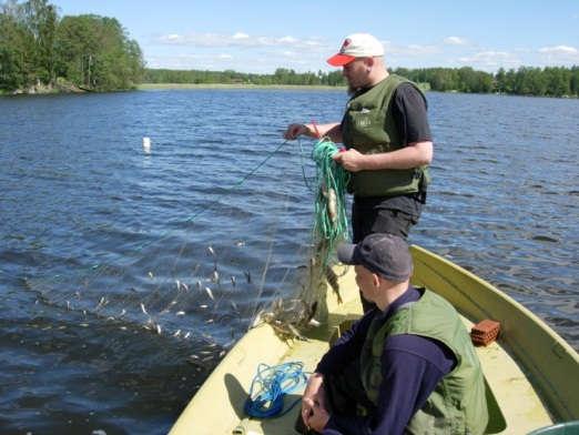 Järvien kalaston seurantamenetelmä CEN-standardi (SFS-EN 14757, 2005) Nordic-yleiskatsausverkko (5-55 mm) Verkkokoekalastus syvyysvyöhykkeittäin ositetulla satunnaisotannalla (n.